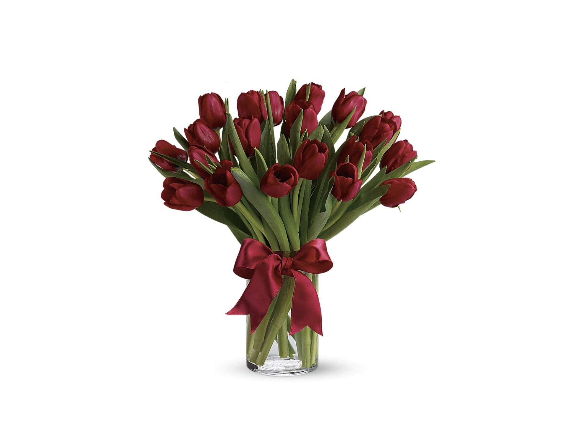 Radiantly Red Tulips