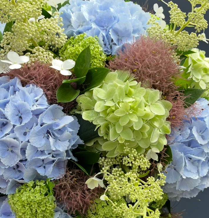 Hydrangea Heaven
