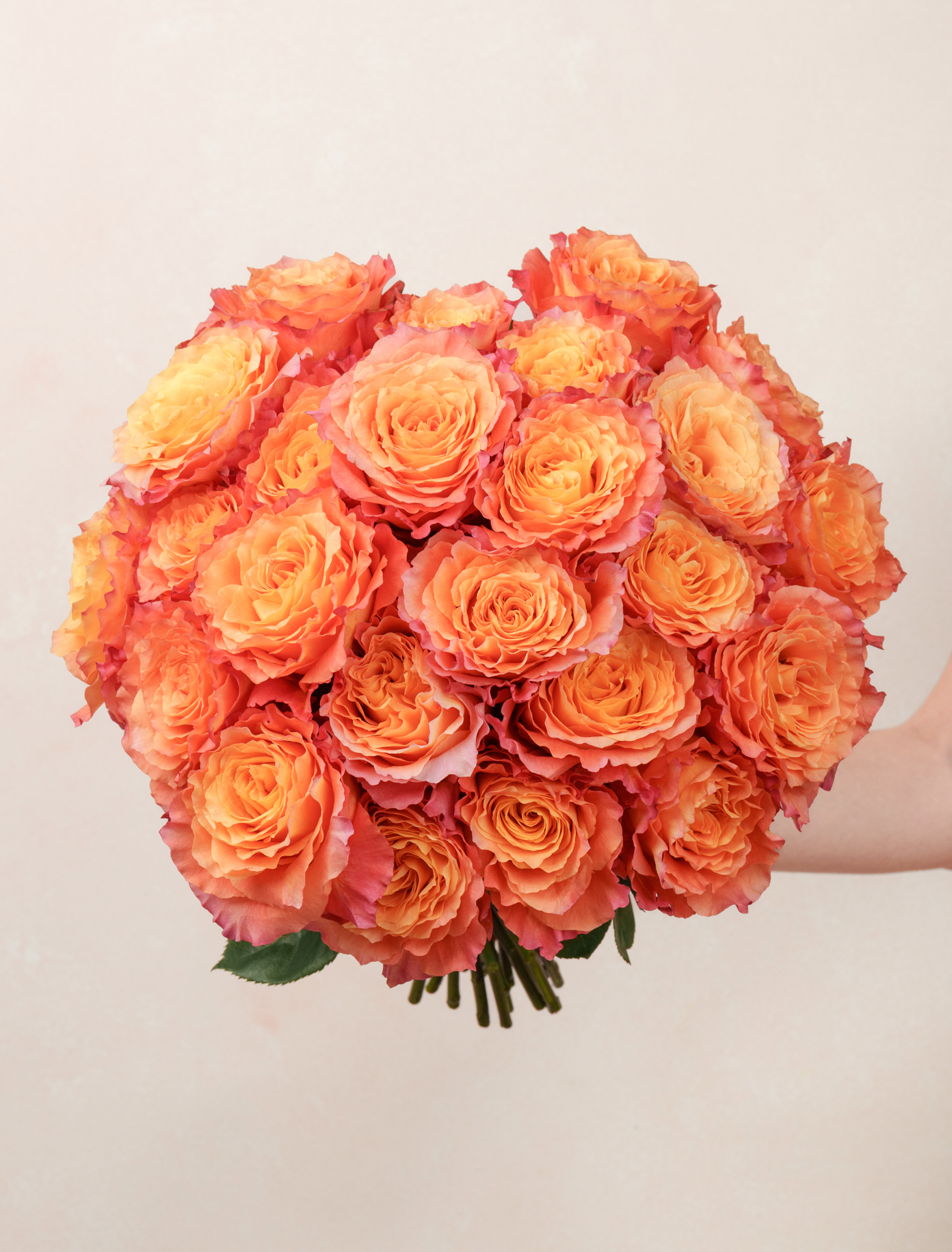 Soleil by Ode a La ROSE- Chicago  — flowers available for delivery from Floom