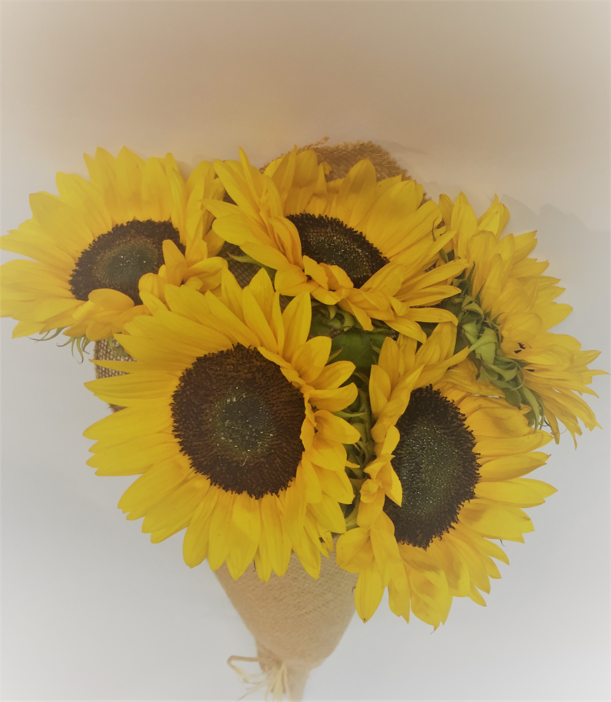 Happy Sunflowers