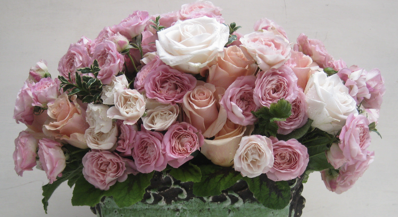 Romantic Rose