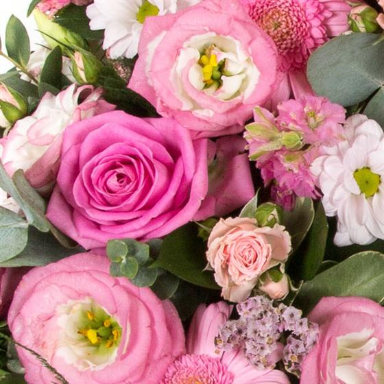 FLORIST CHOICE PINKS