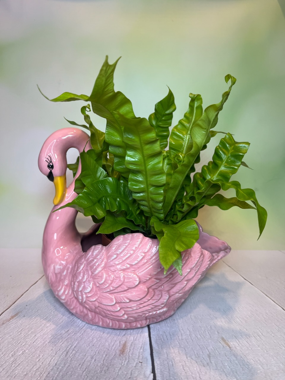 Pink Swan Planter
