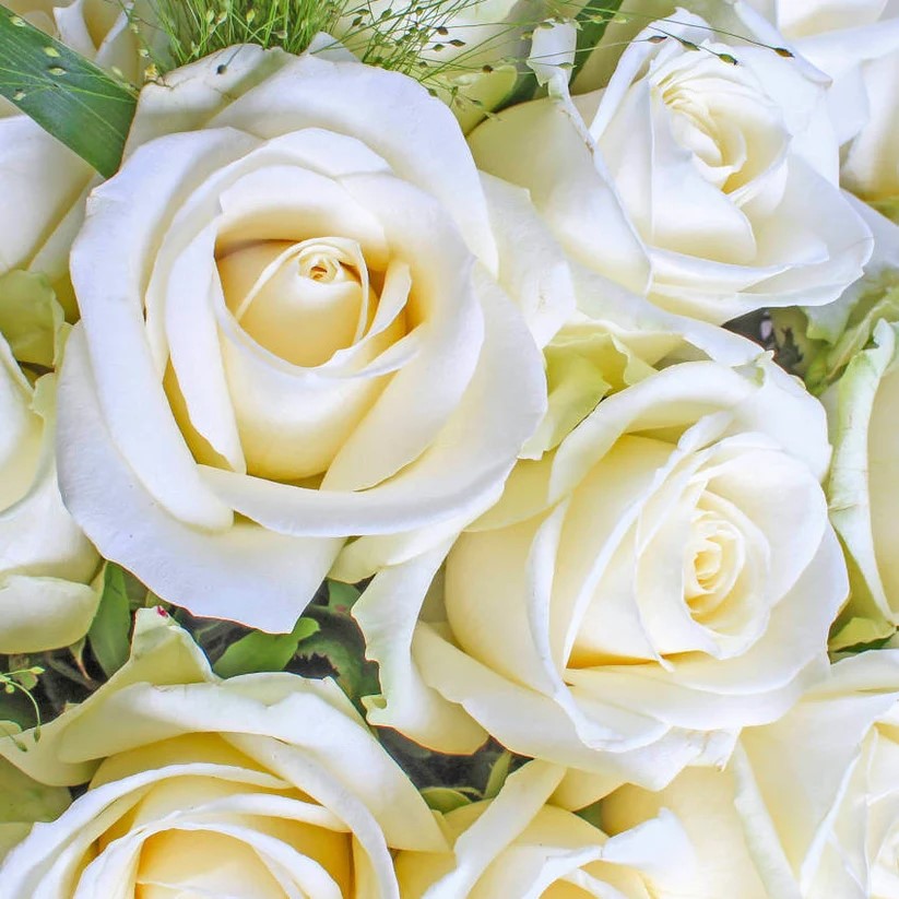 Original by Poppy's Florist — flowers available for delivery from Floom