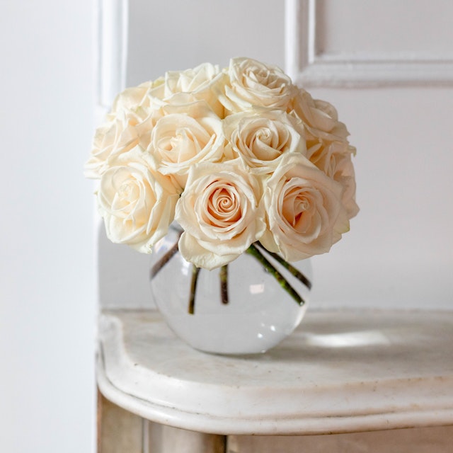 Ivory Roses