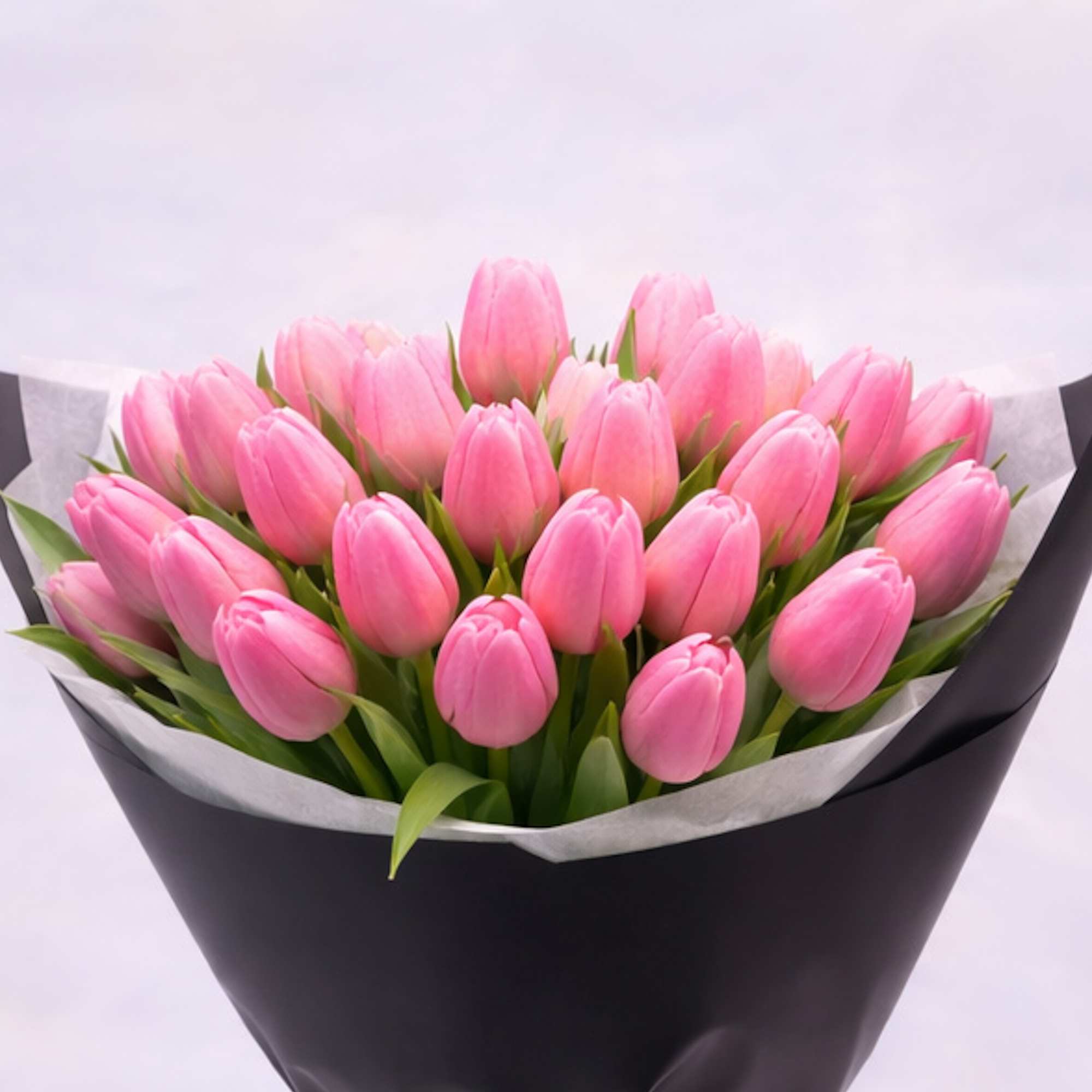 Classic Pink Tulips