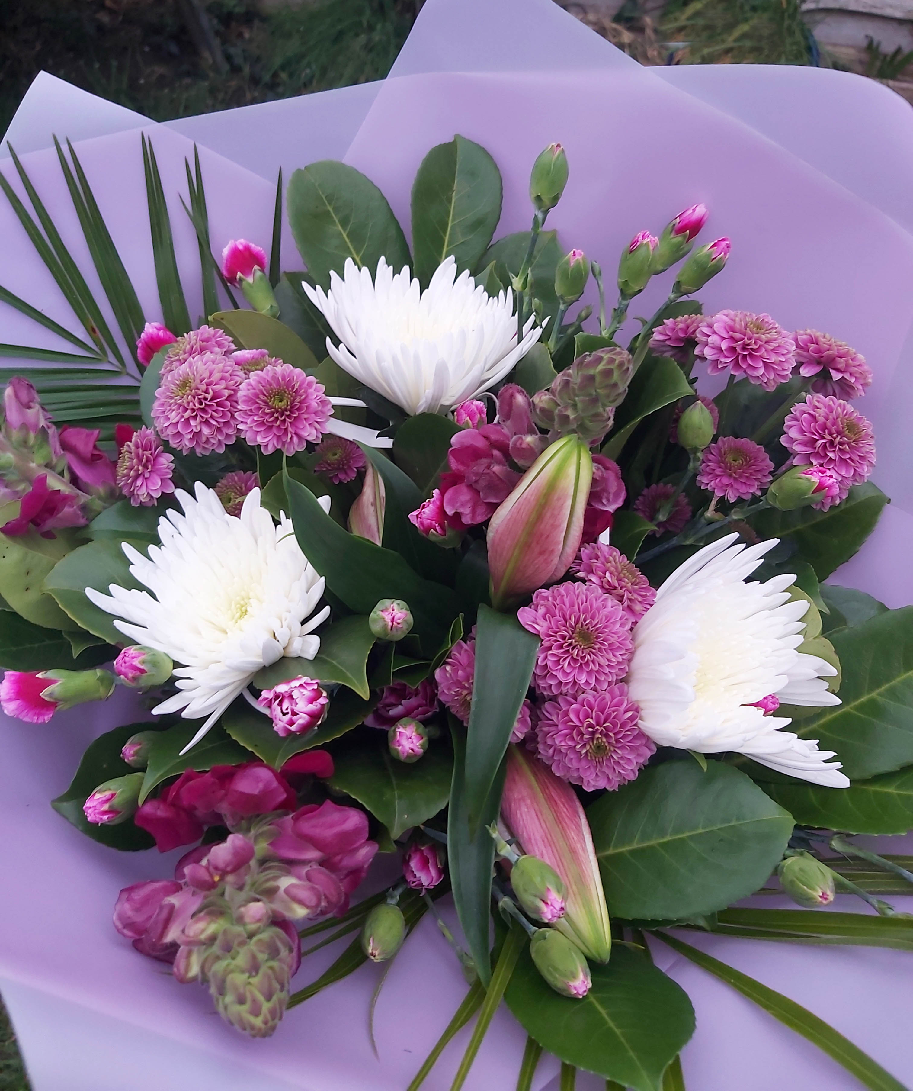 Purple and white bqt