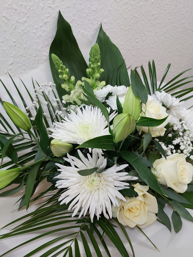 White Elegance
