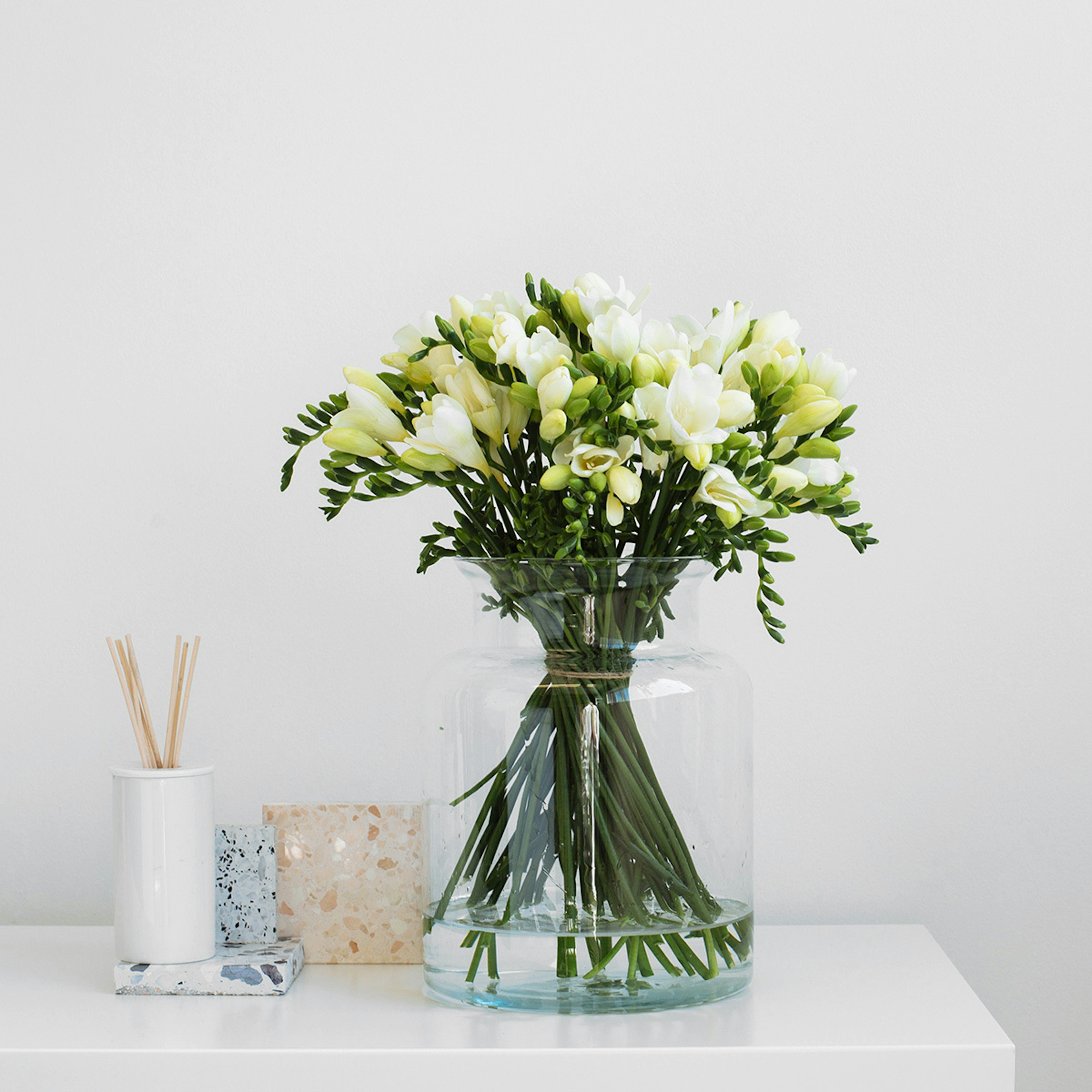 Freesia white original