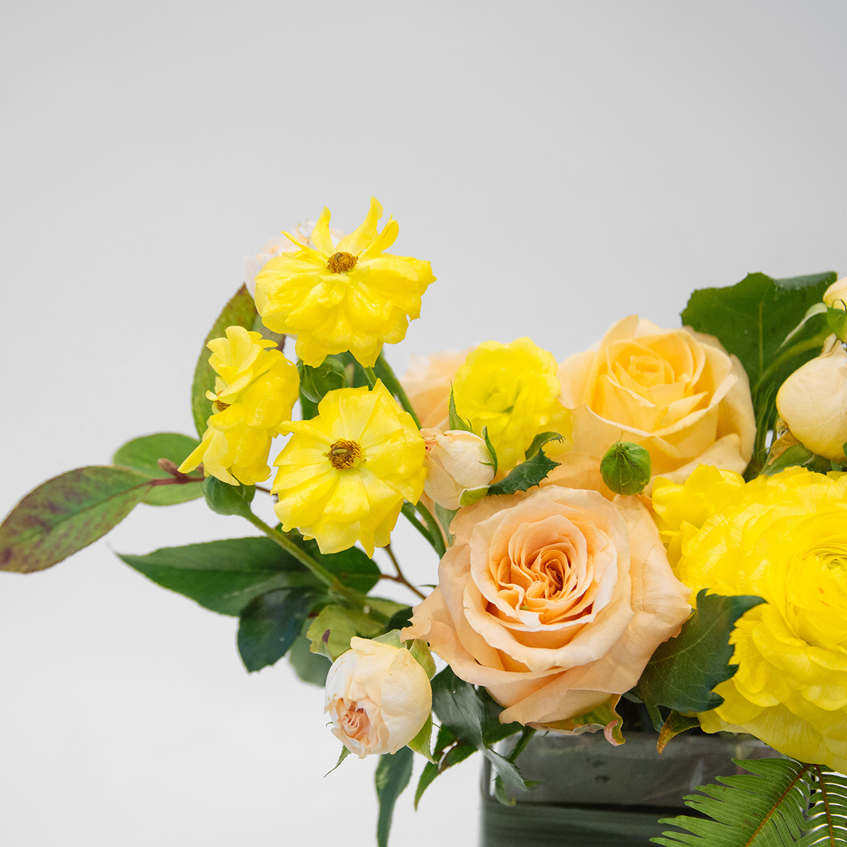 From The Garden original