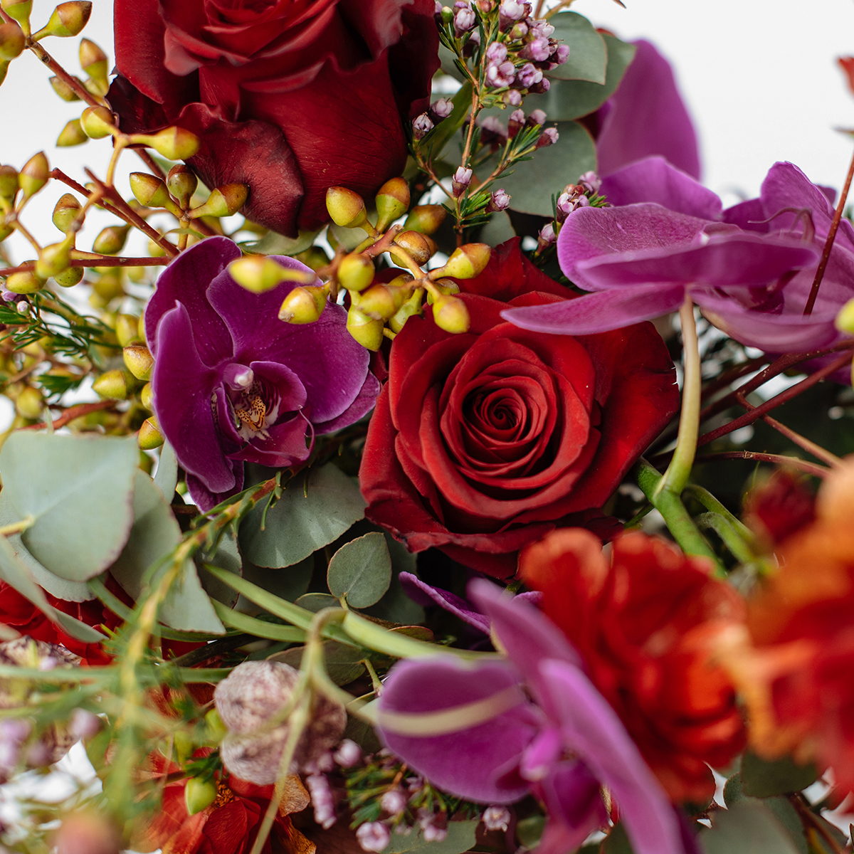 Fuchs Garden original