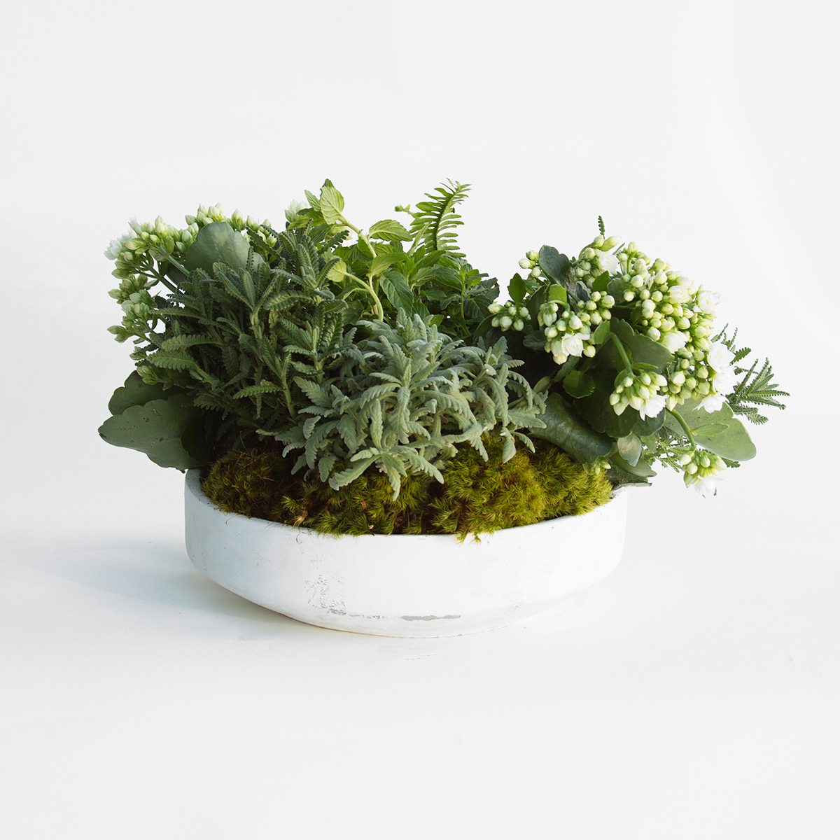 Herb Garden original