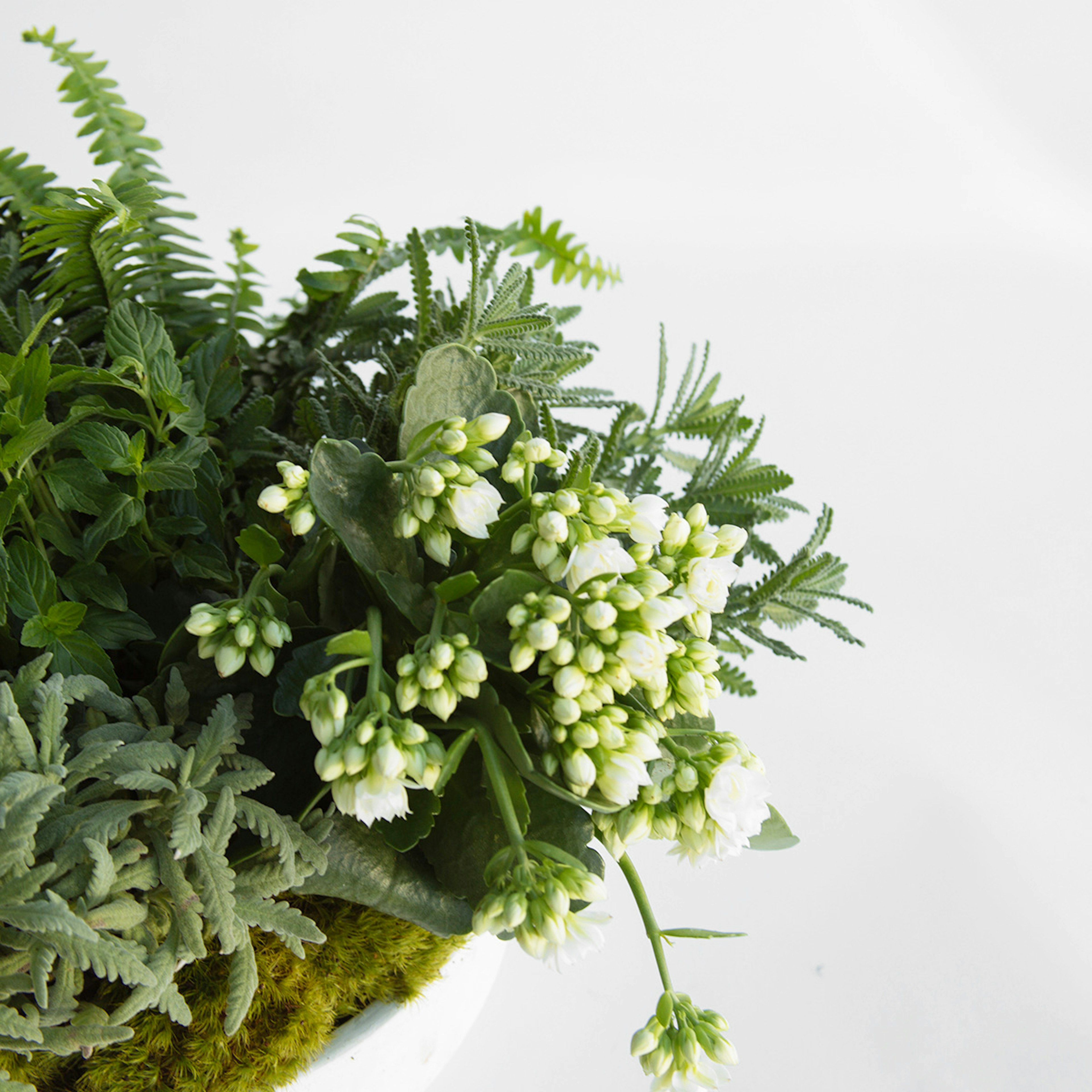 Herb Garden original