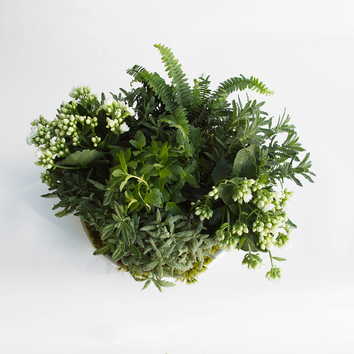 Herb Garden original