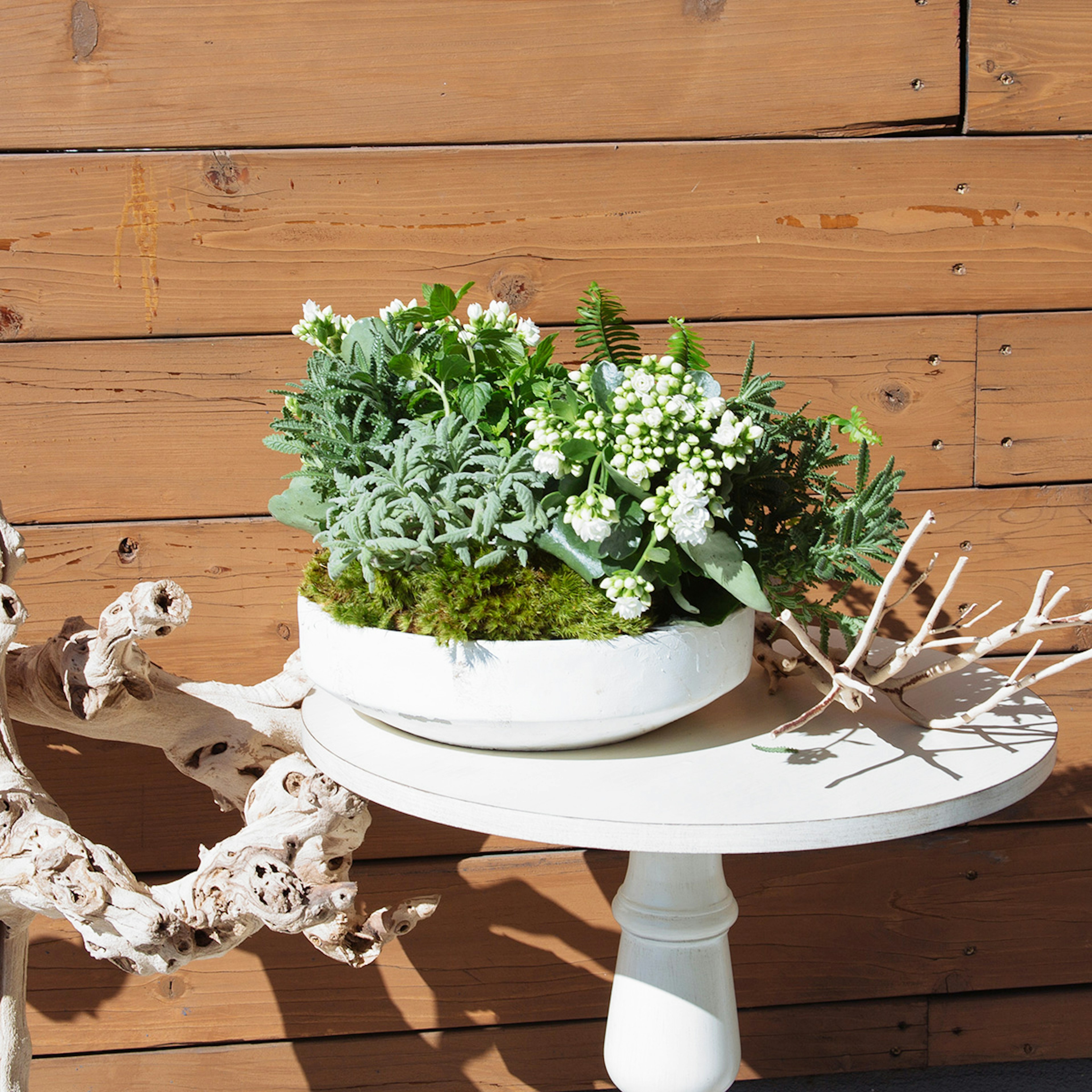 Herb Garden original