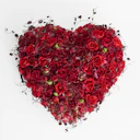Jewel Heart
