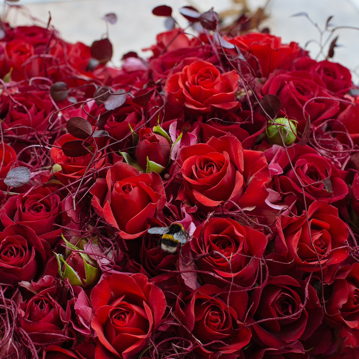 Jewel Heart original