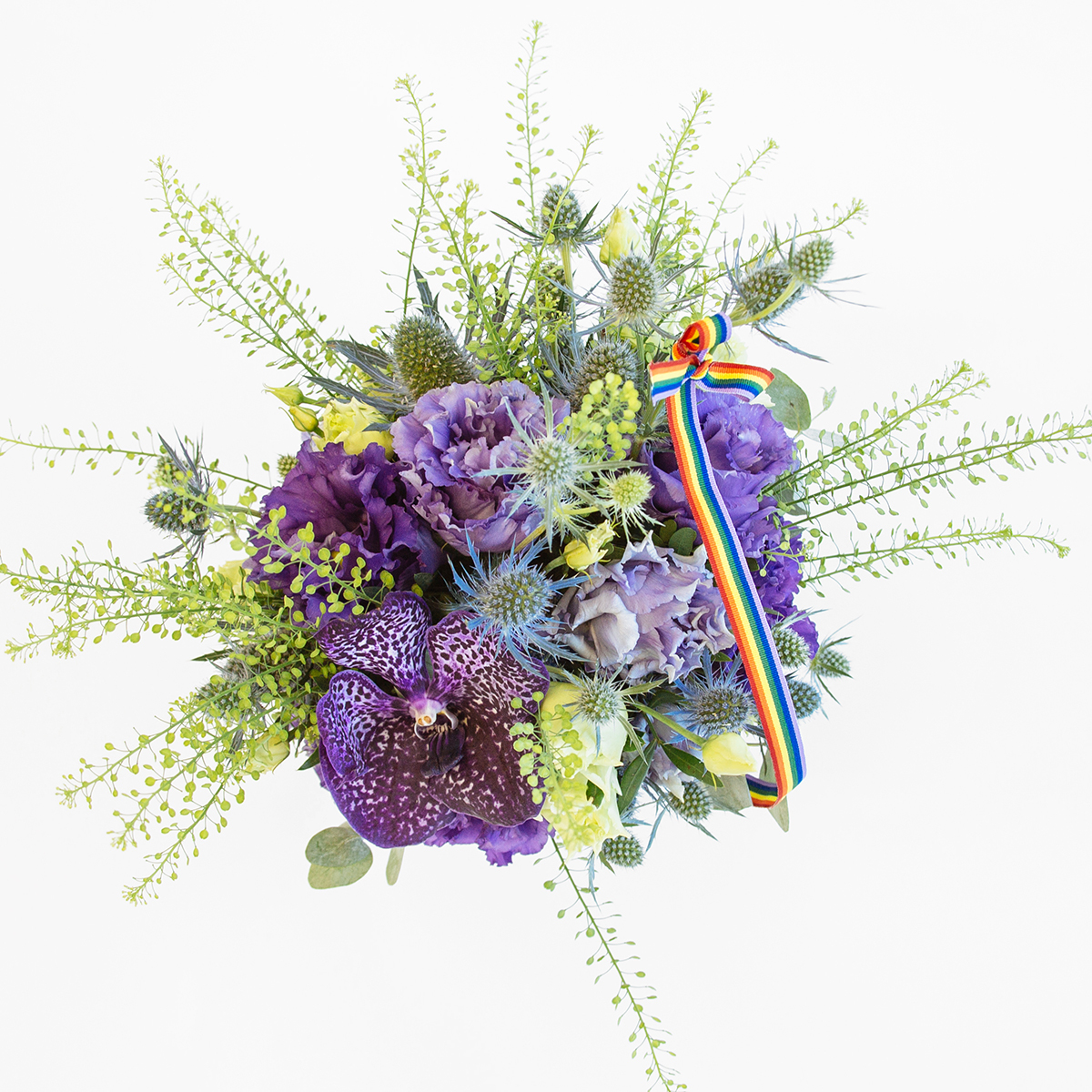 Kitty Divine original