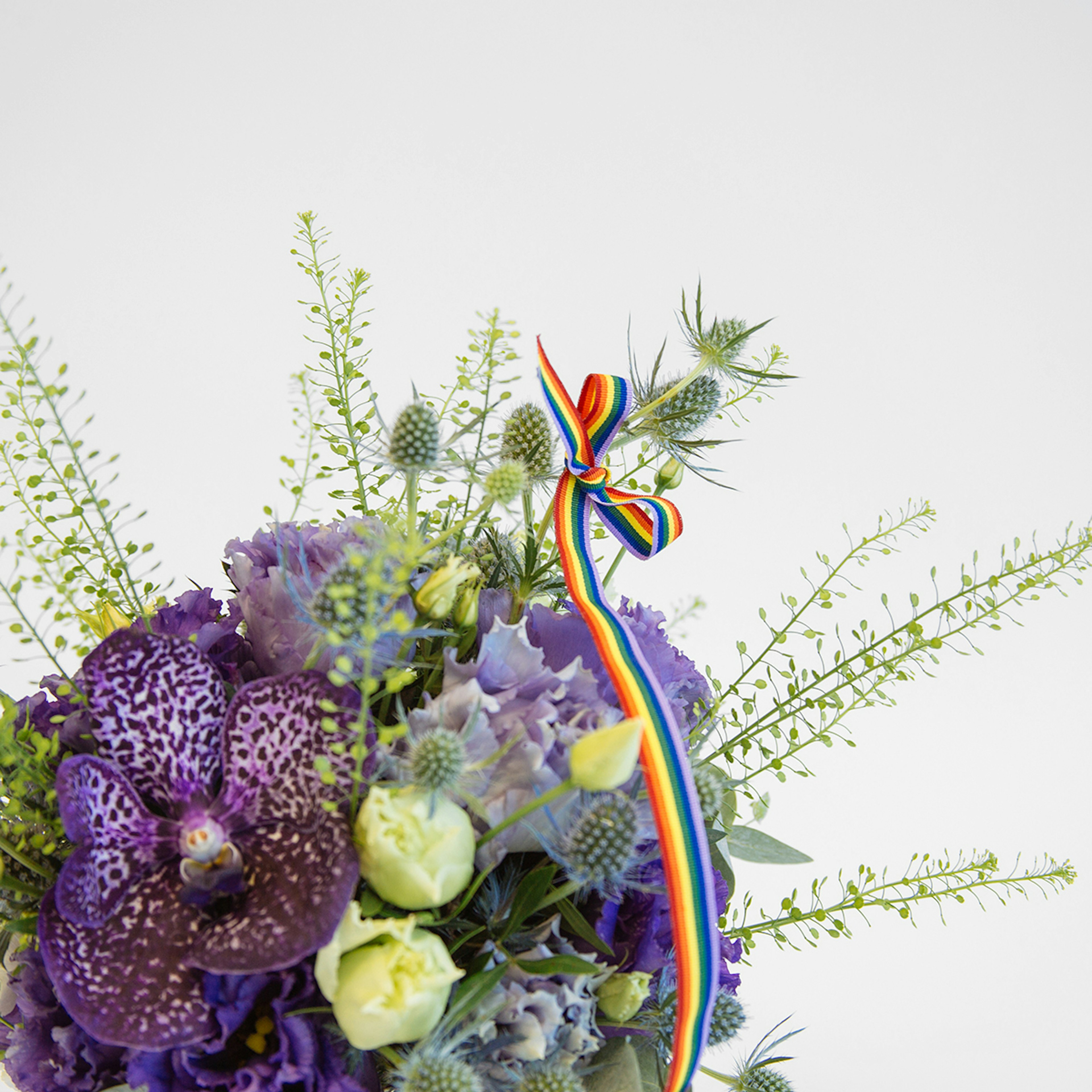 Kitty Divine original