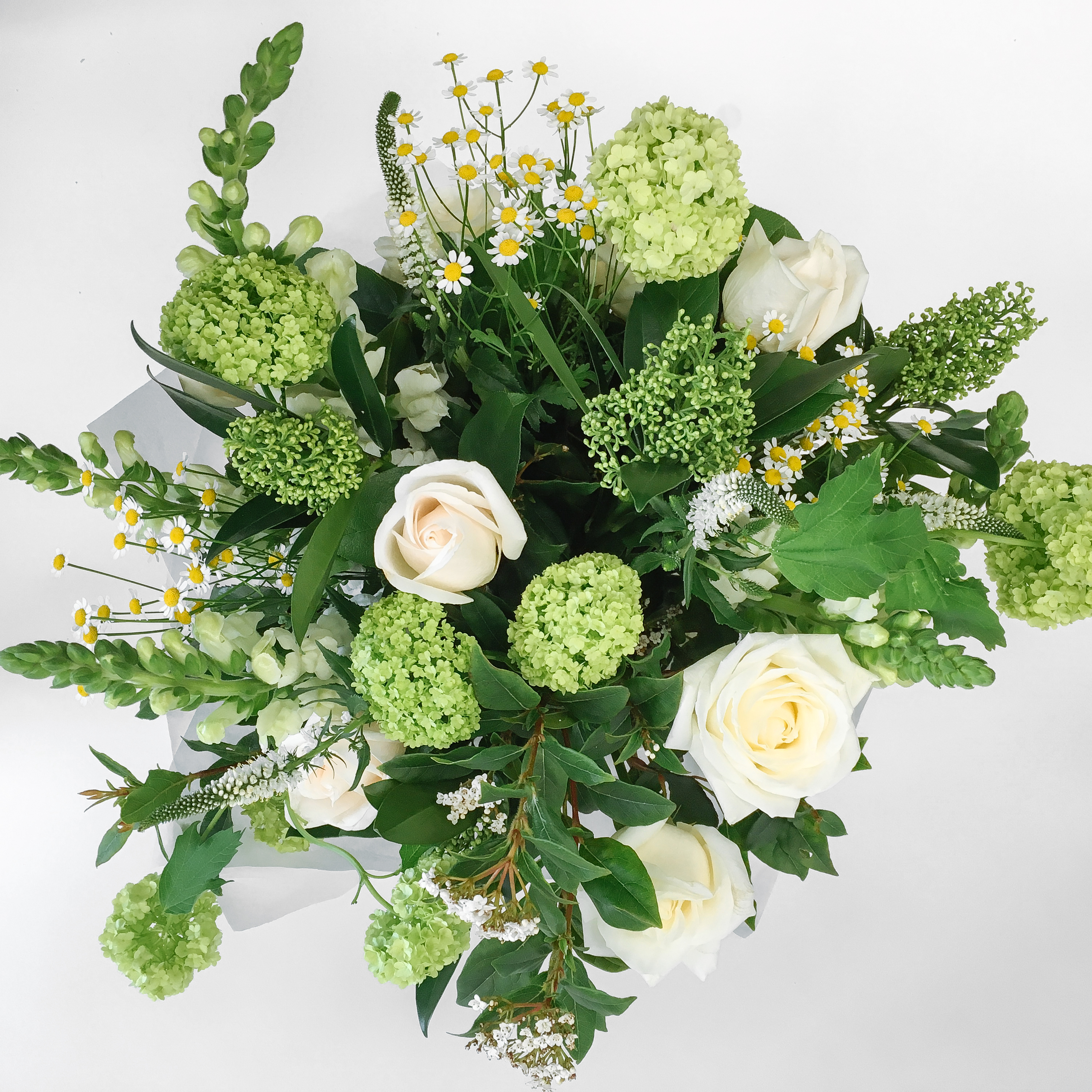 White and Greens The Brighton Flower Company Flowers Floom