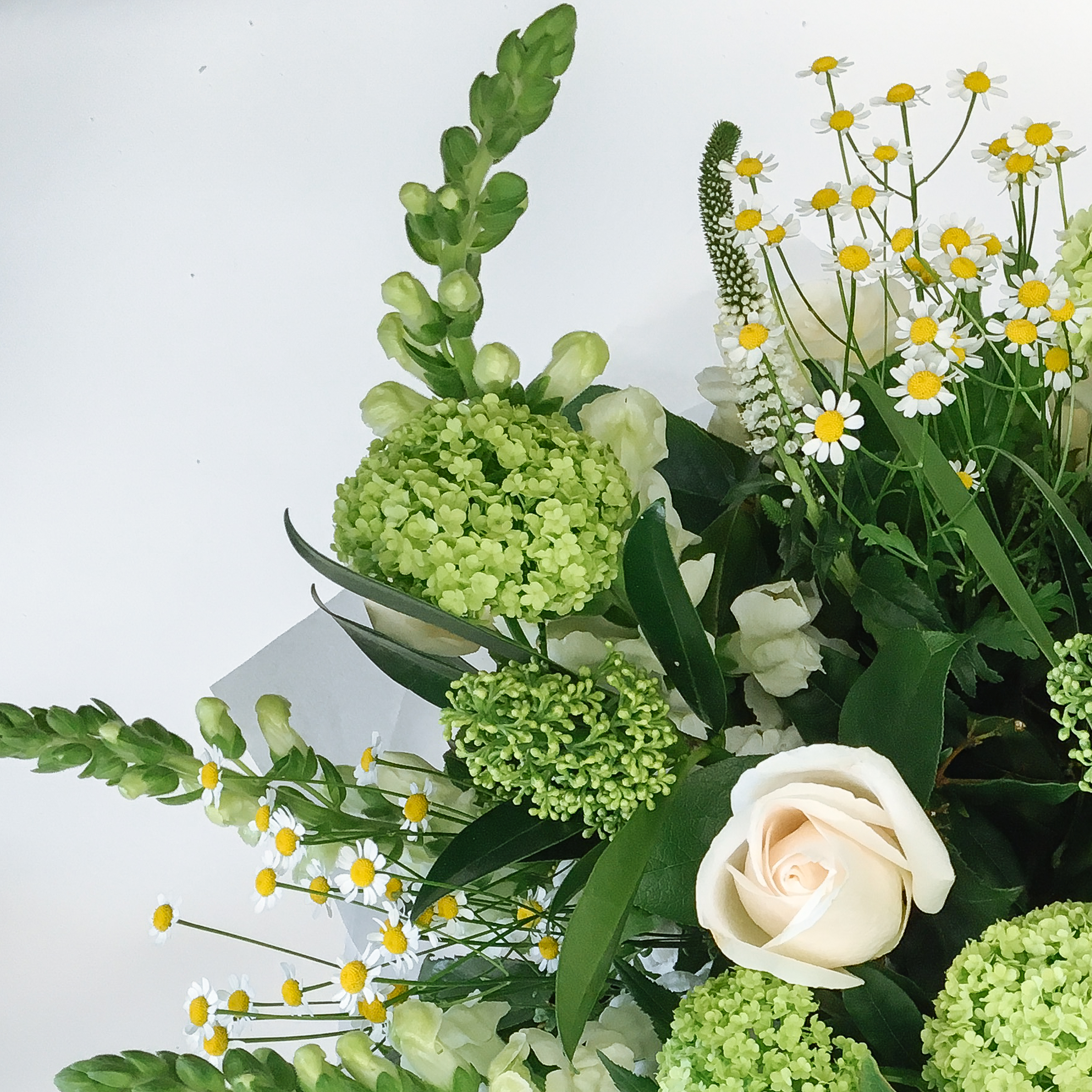 White and Greens The Brighton Flower Company Flowers Floom