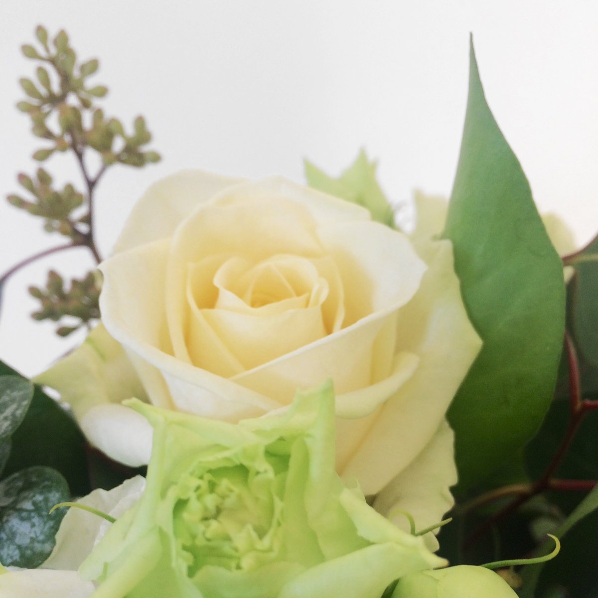 Mini Rose Vase original