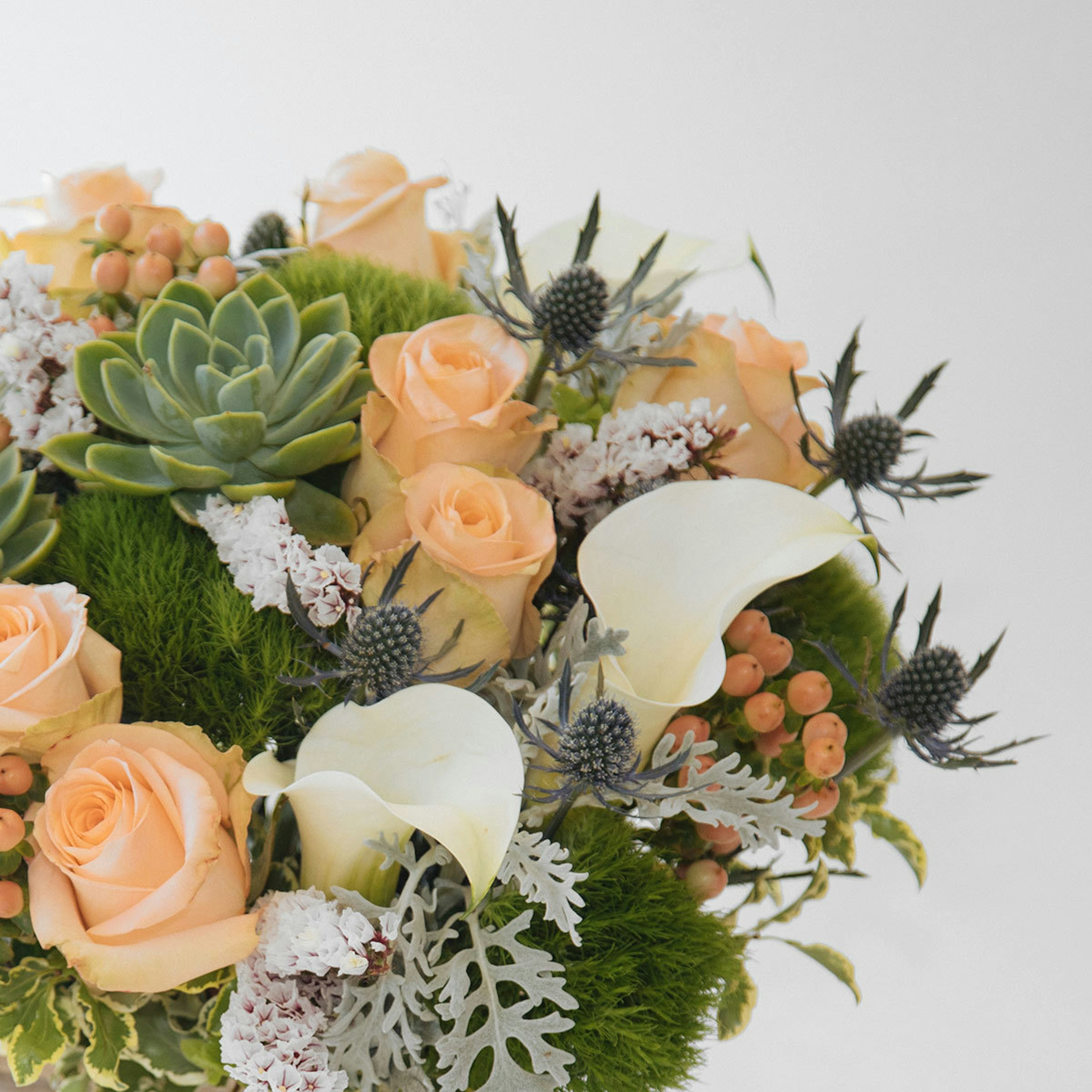 Monterey Bay original