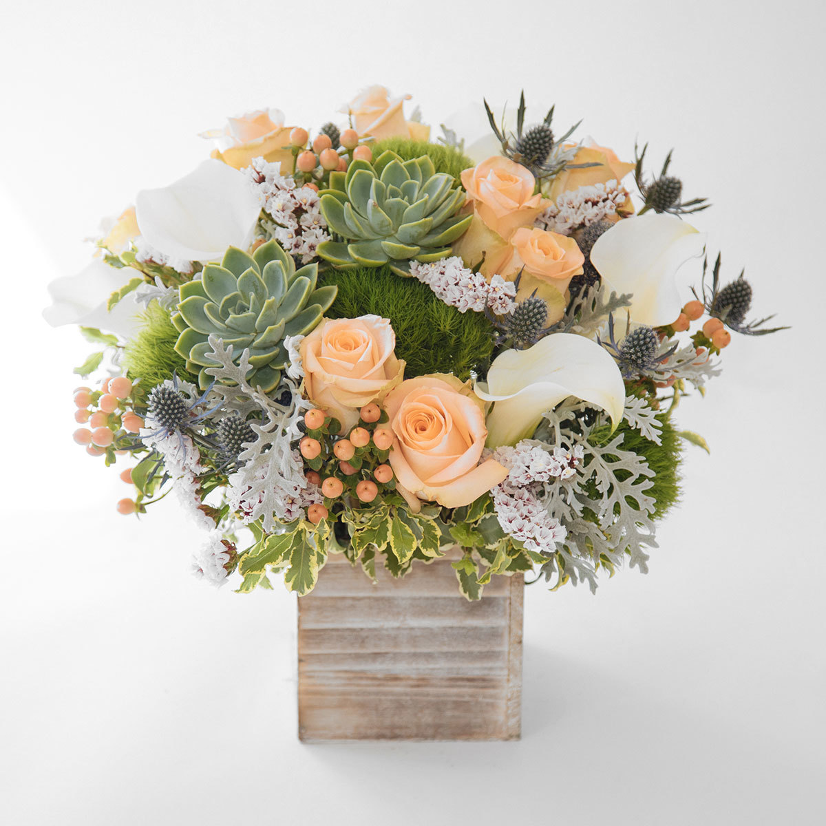 Monterey Bay original