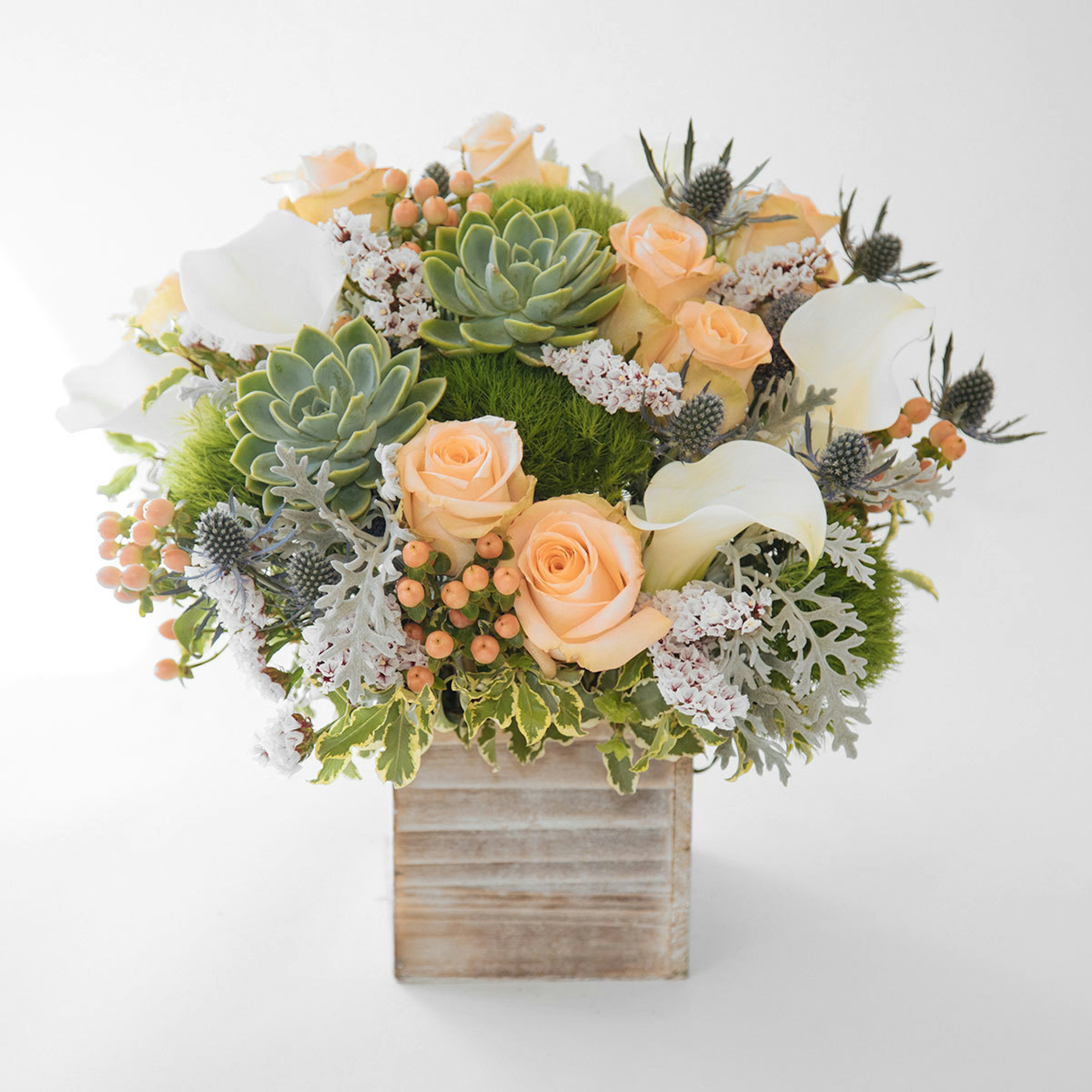 Monterey Bay original