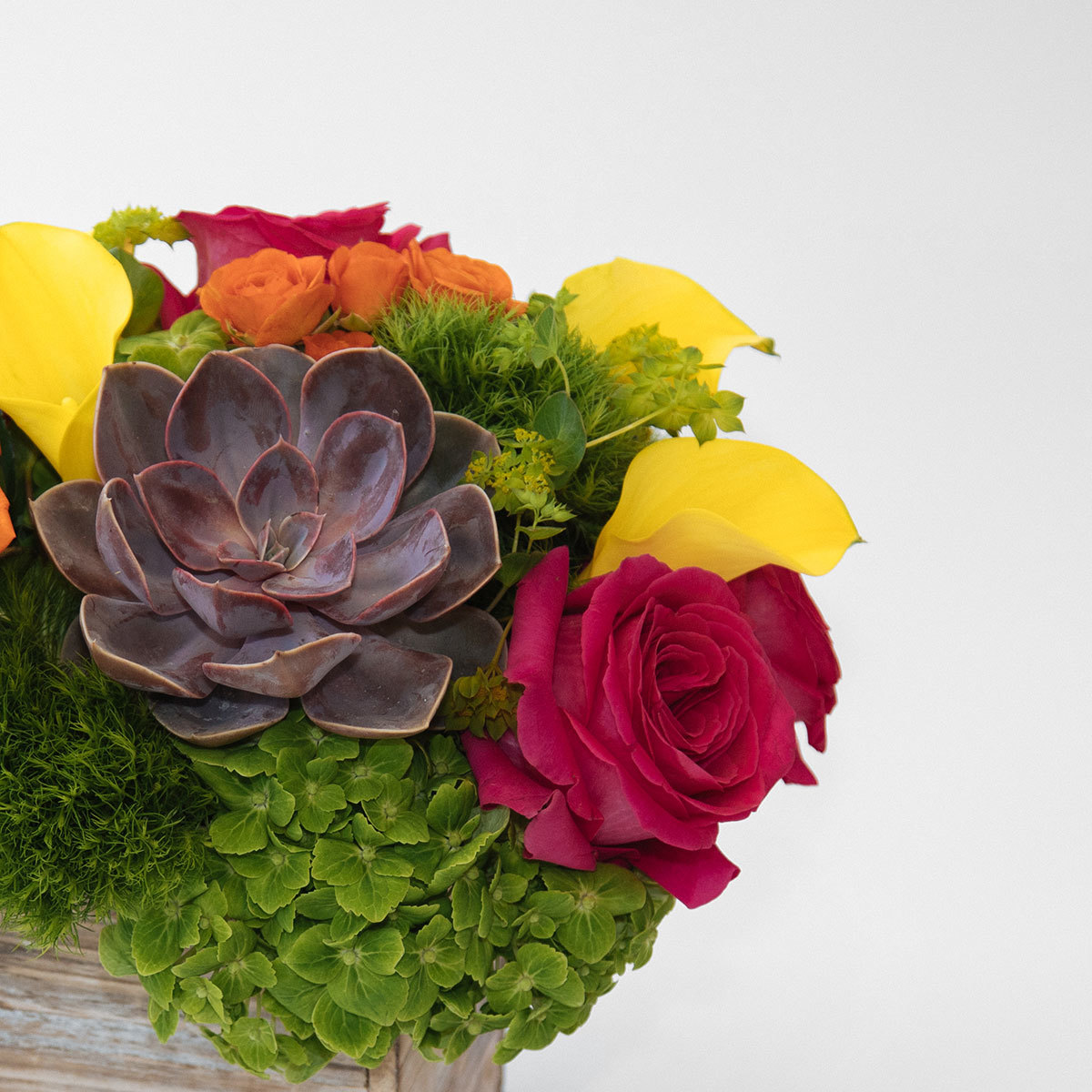 Palm Springs original