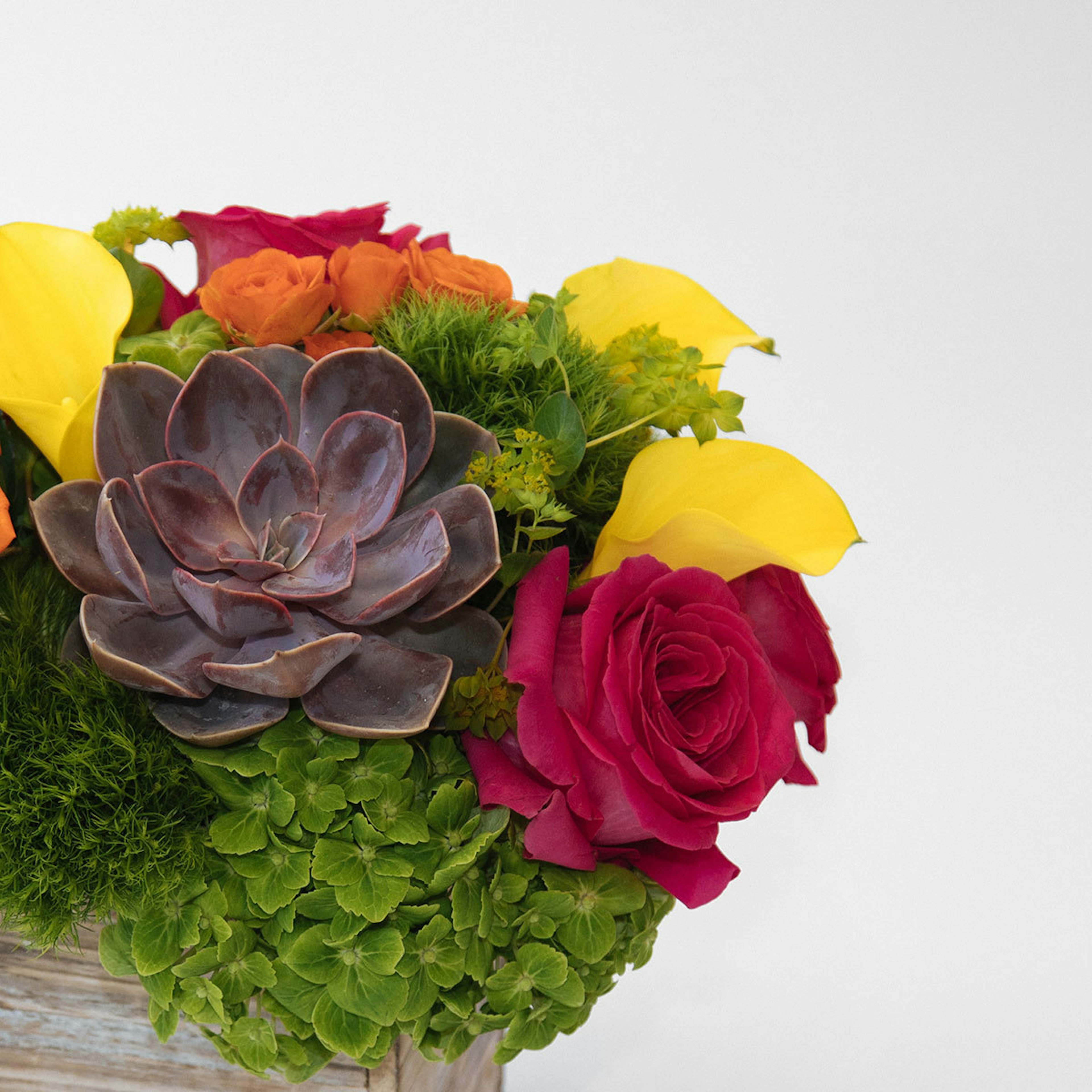 Palm Springs original