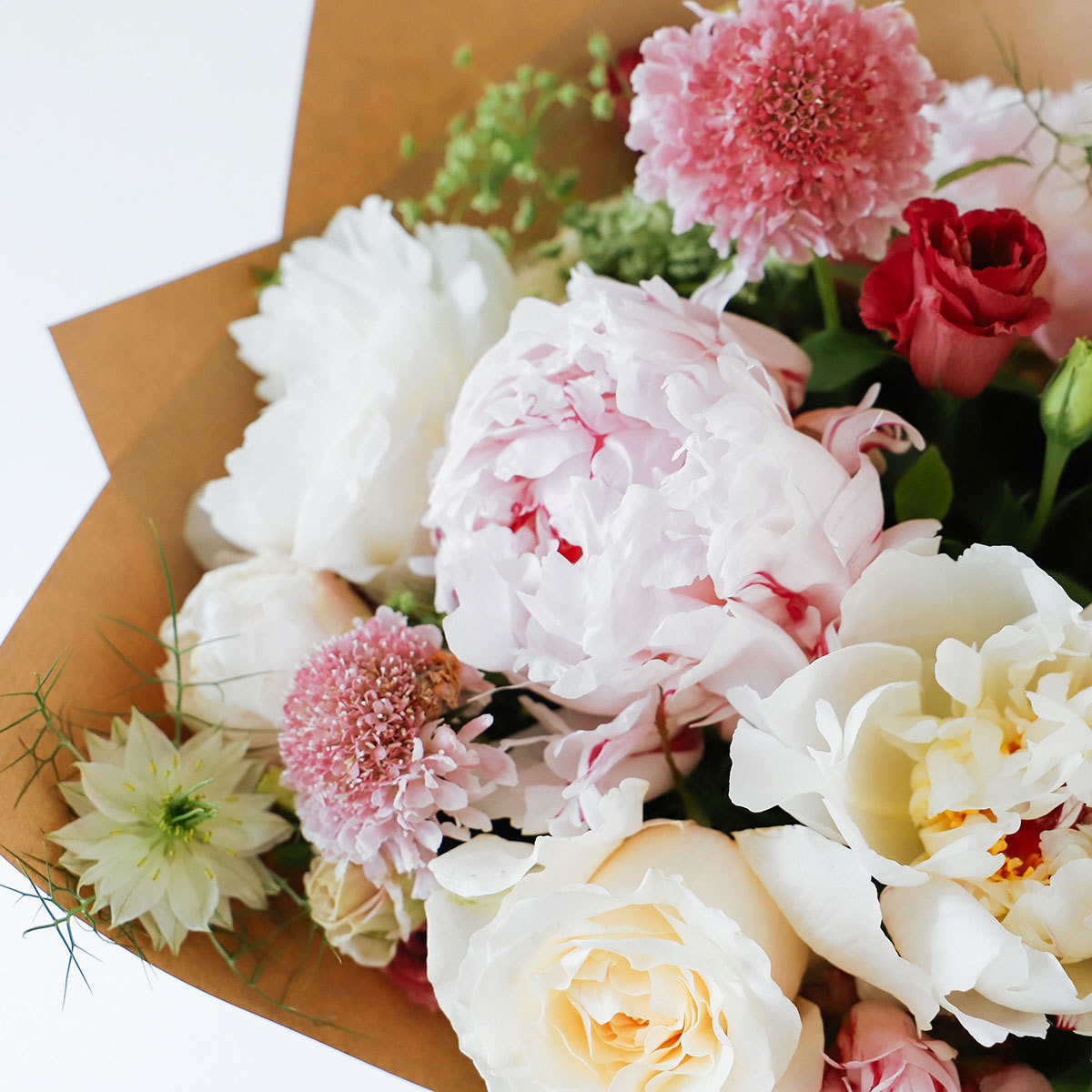 Peony Princess original