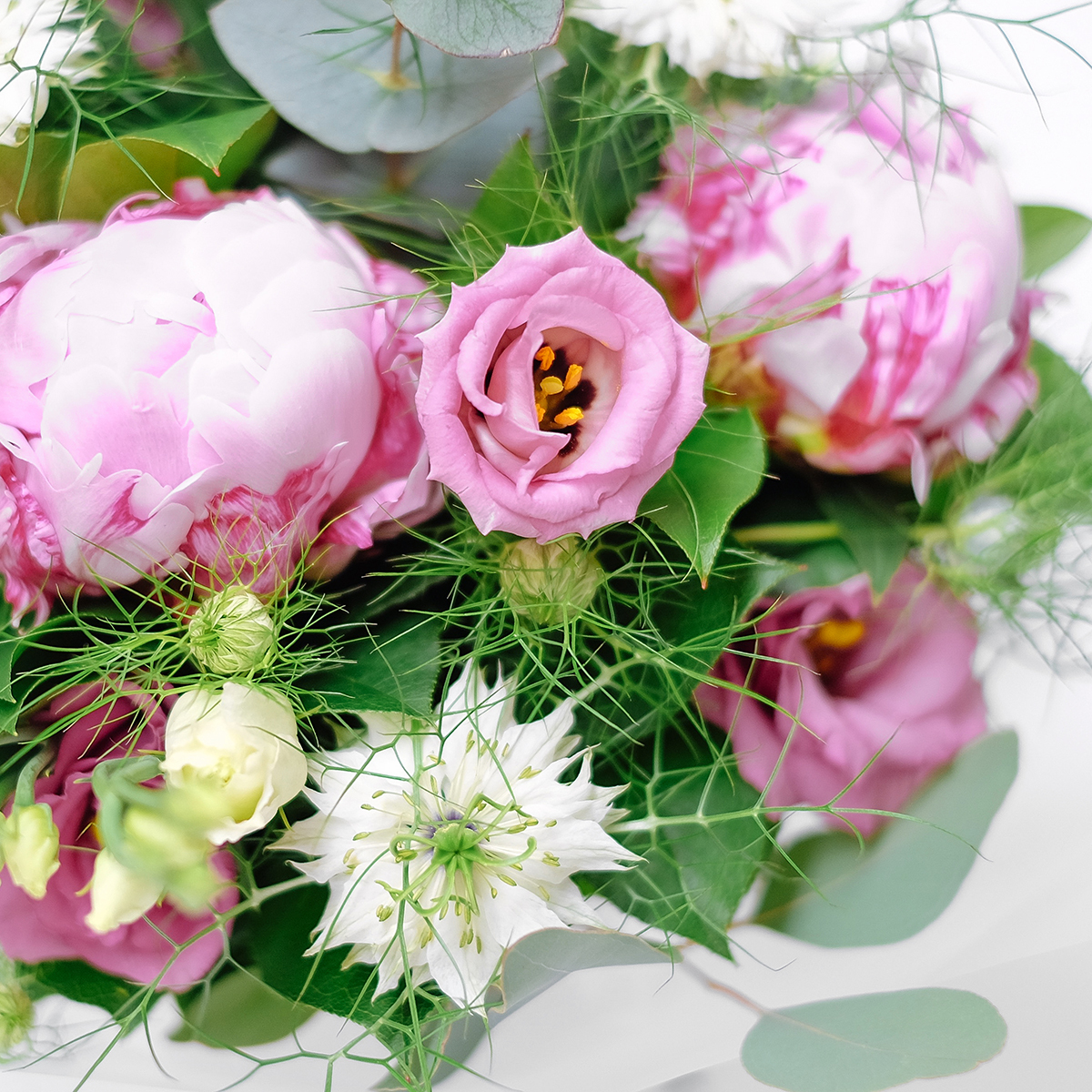 Peony Twist original