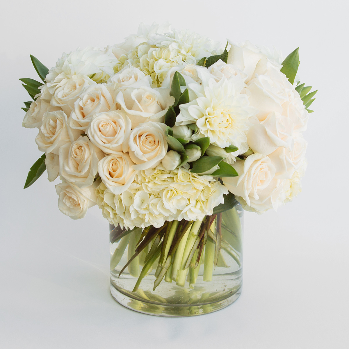 Pure and Perfect - Orchid Republic | Flowers | Floom