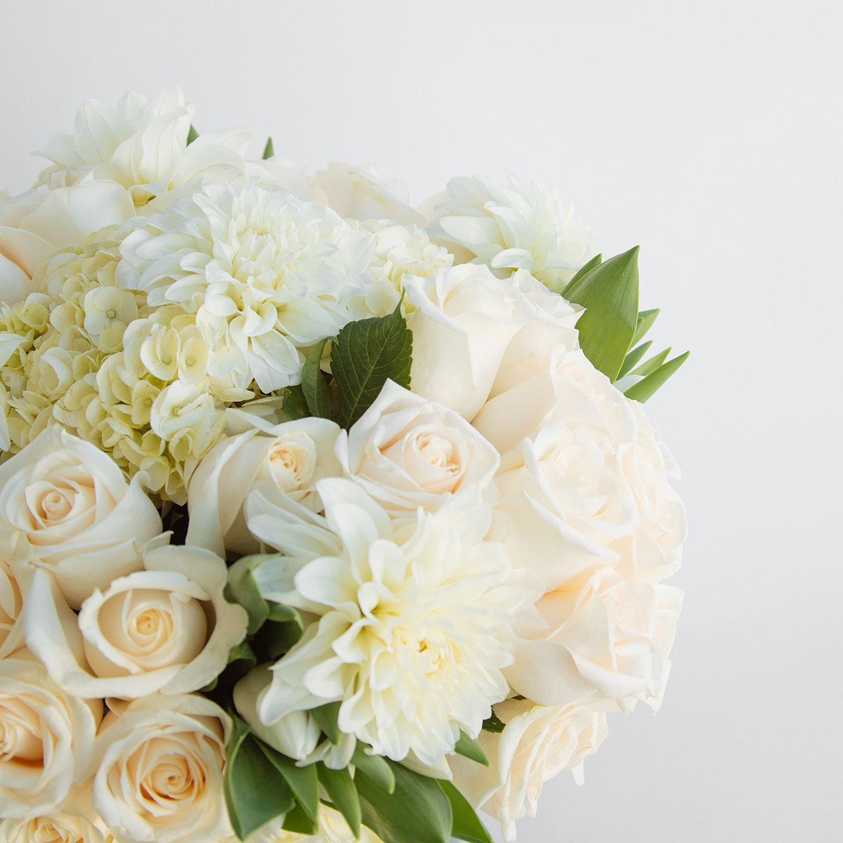 Pure and Perfect original