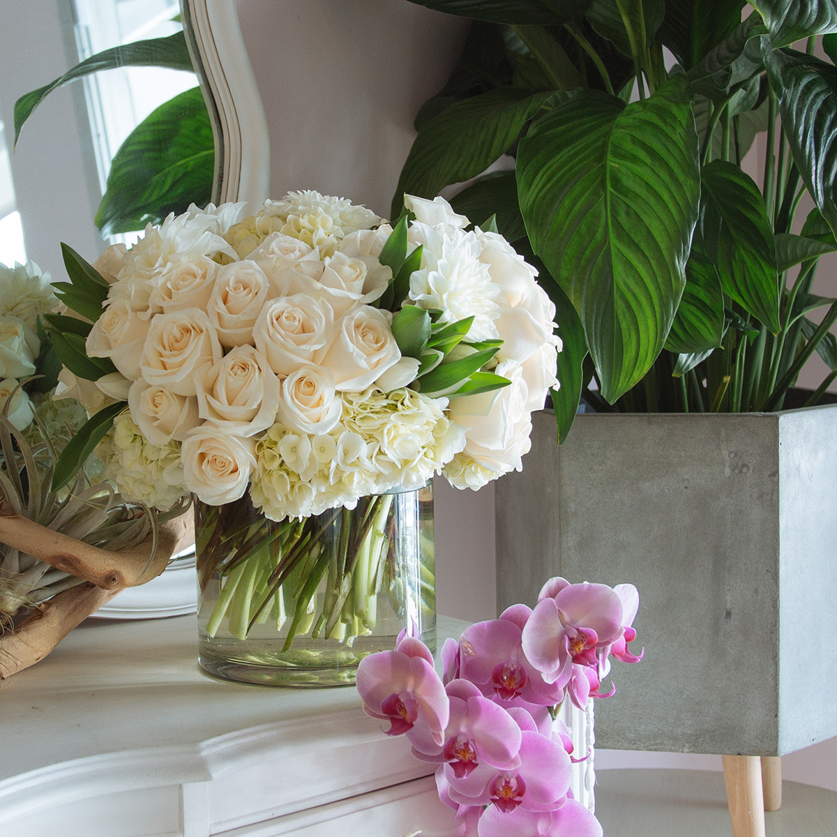 Pure and Perfect original