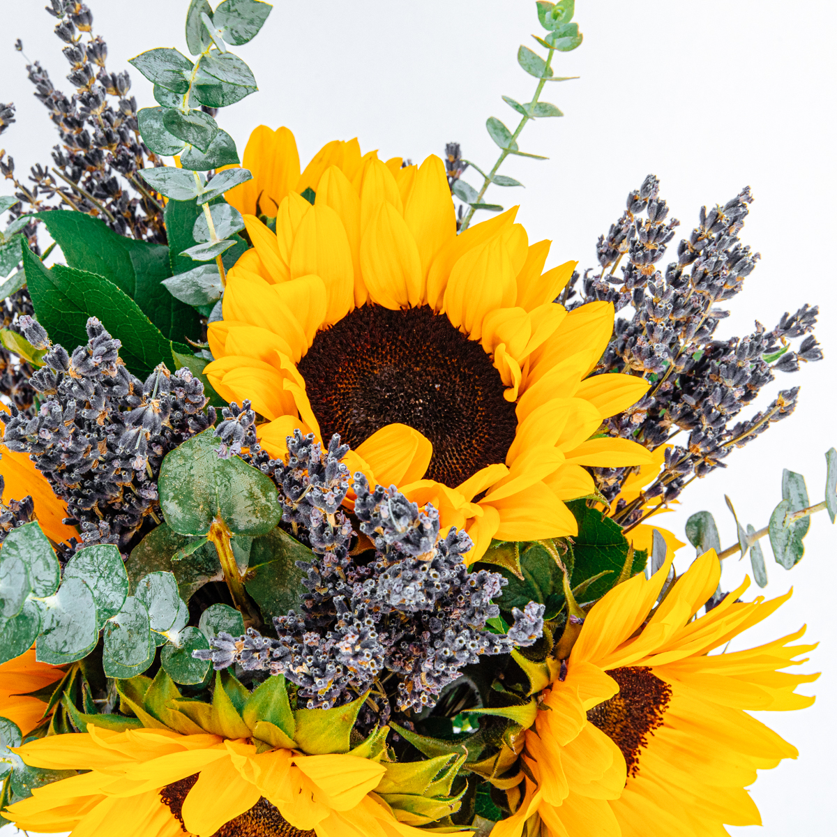 Relaxing Sunflower and Dry Lavender Jar