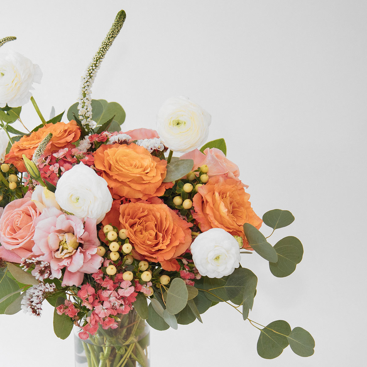 Rose’ all Day original