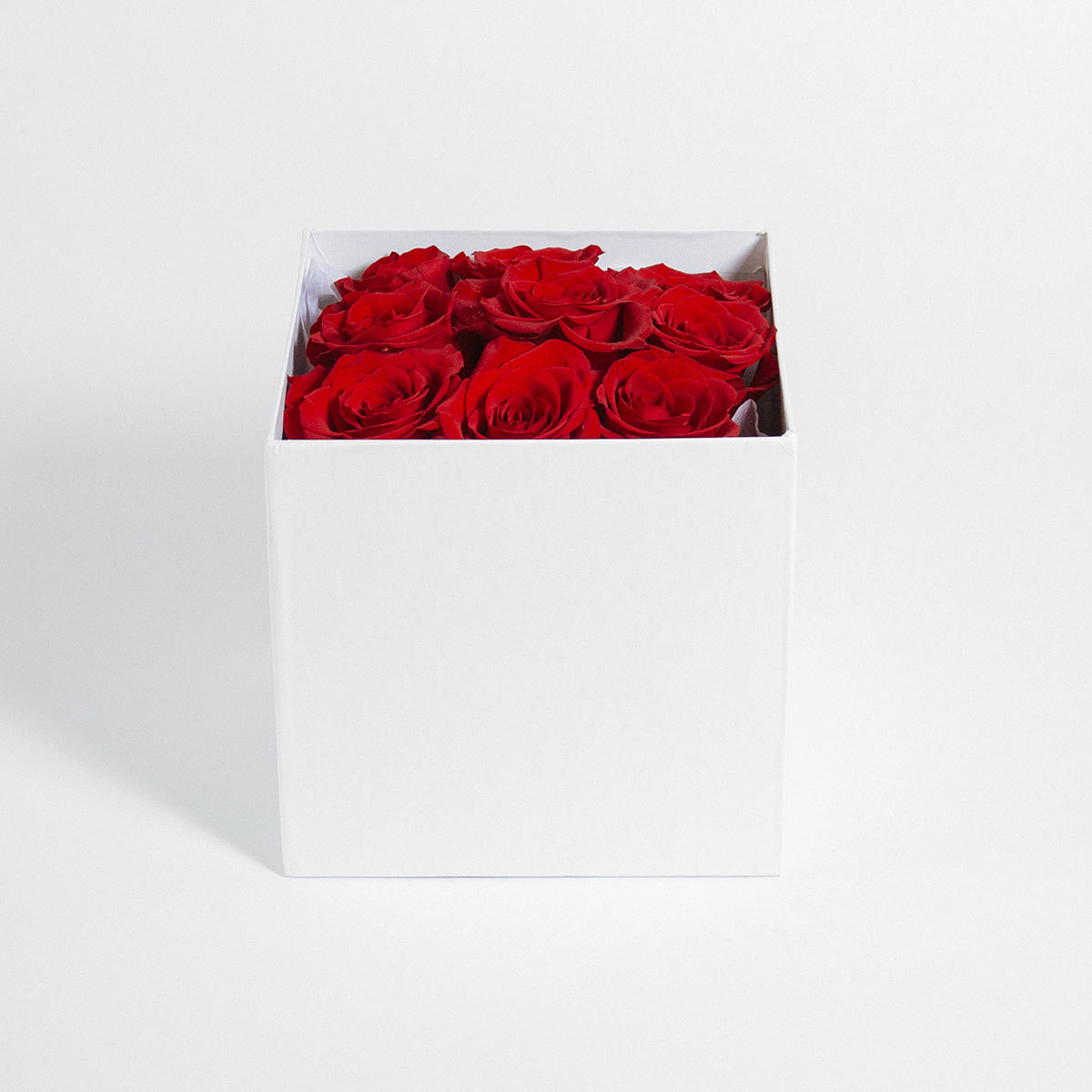 Rose Potion Number 9