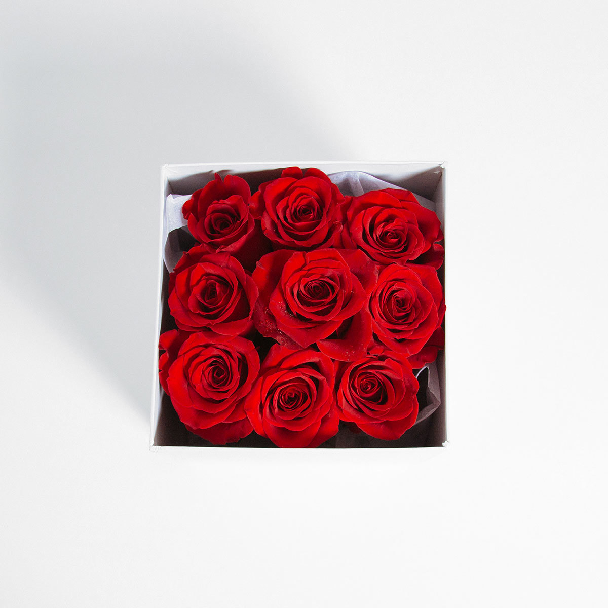 Rose Potion Number 9 original