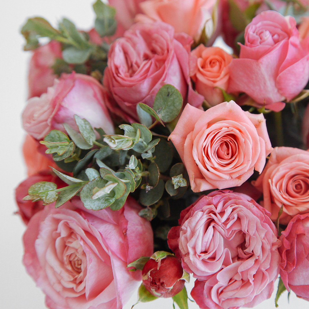 Enchanted Rose Garden