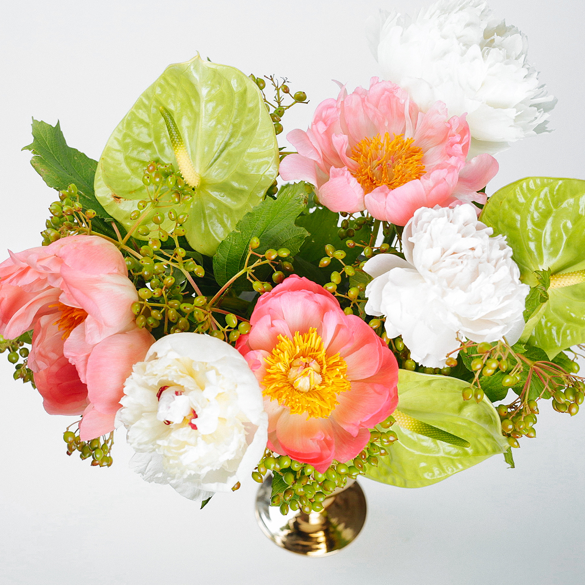 Royal Peonies