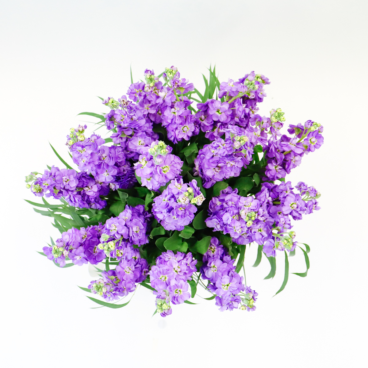 Scented Stock original