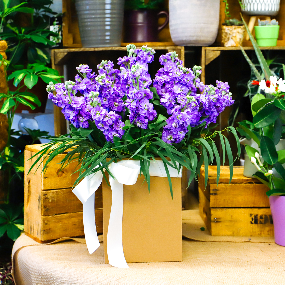 Scented Stock original