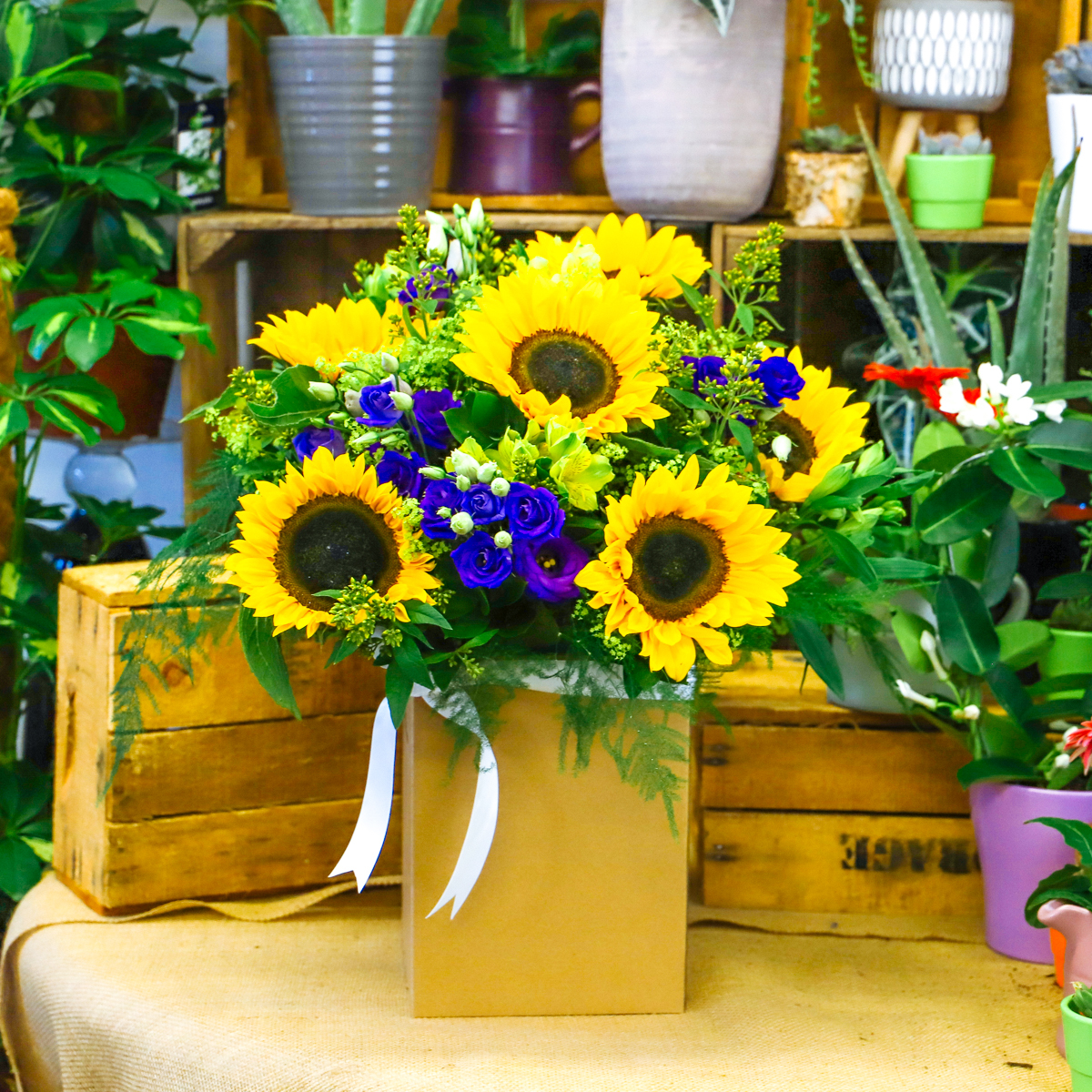 Sonny’s Sunshine original