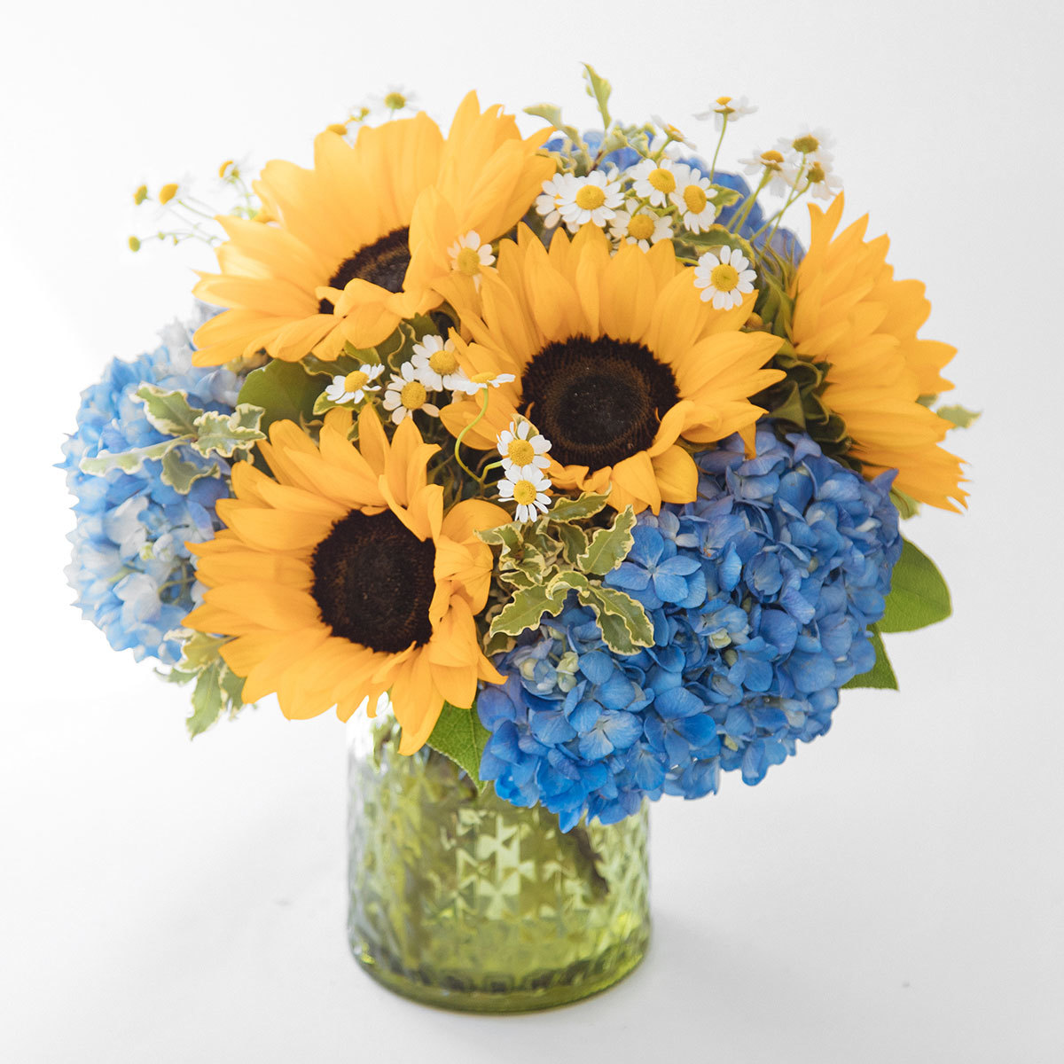 Sunflower Fields original