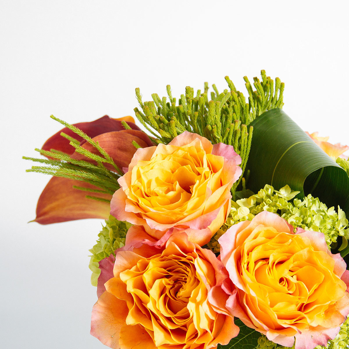 Sunny Valley original