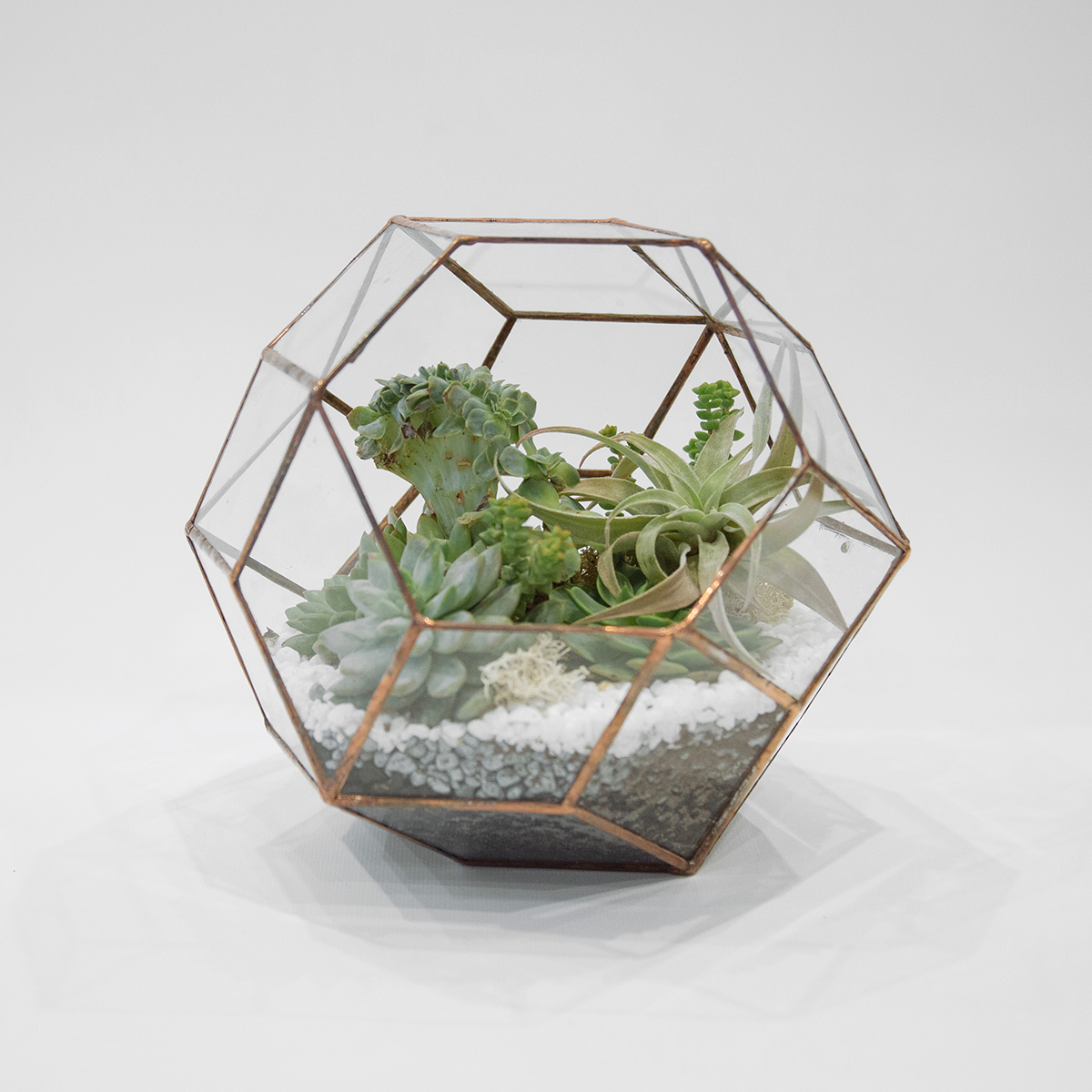 Terrarium
