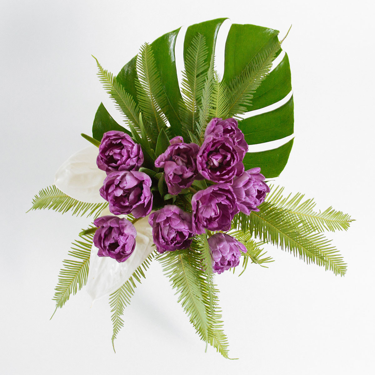 Tropical Spring original