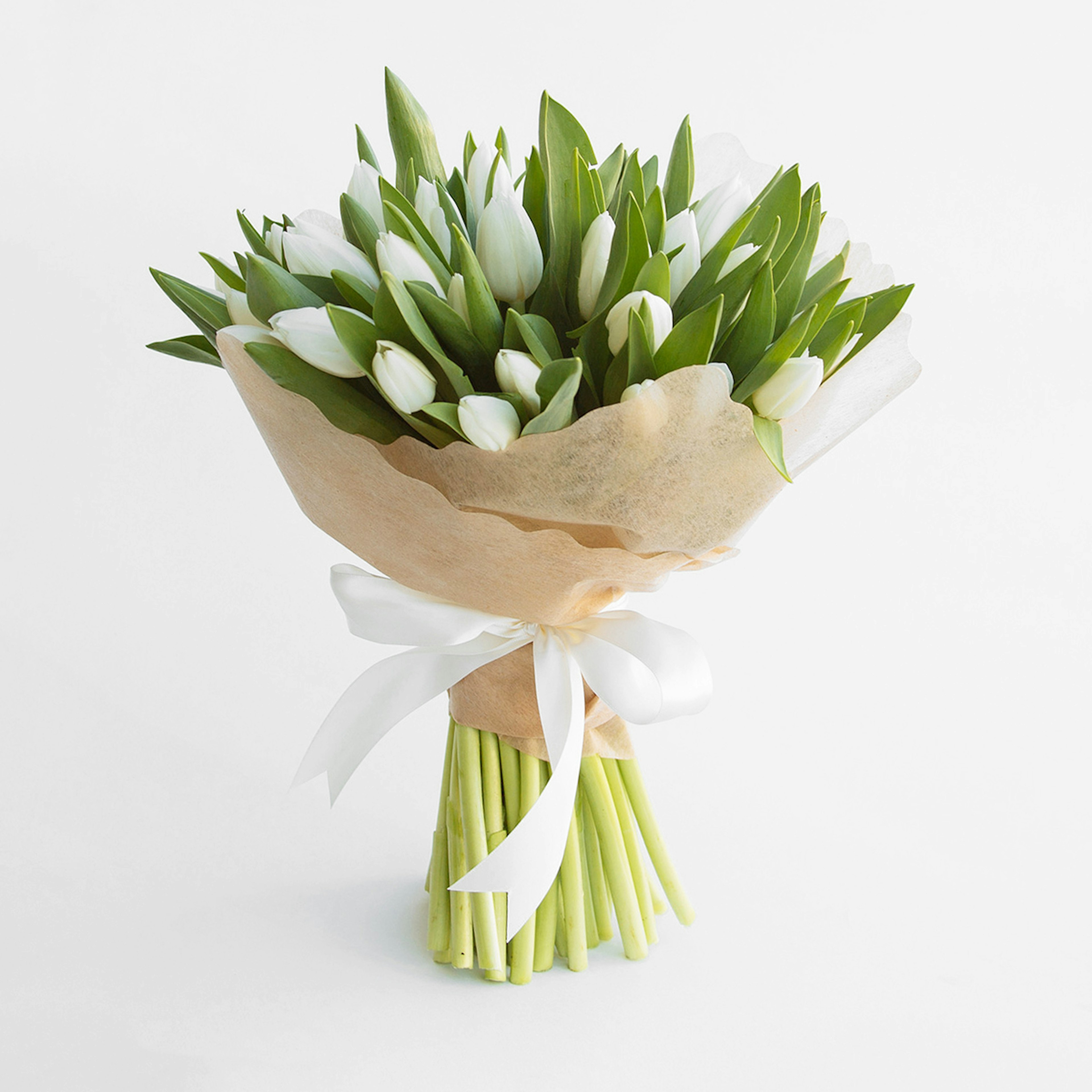 Tulip Desire original